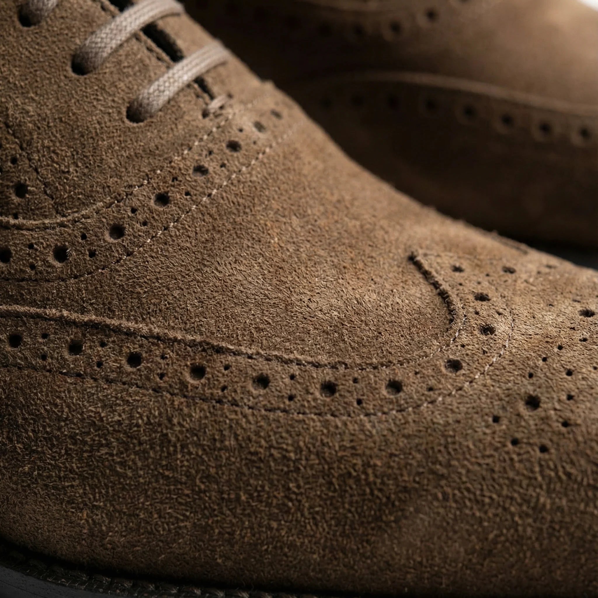 Macellinni Oxford Brogue Suede - Brown